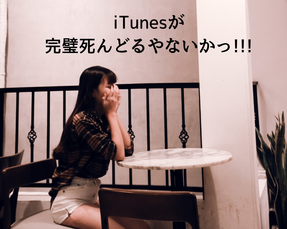 Itunesがipodを認識しない 地獄の3日間からのappleサポート 無料 で解決 華流汀羅